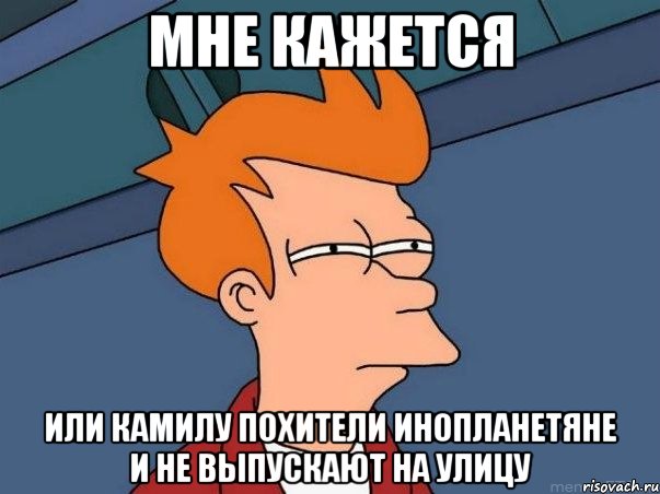 Мне кажется или камилу похители инопланетяне и не выпускают на улицу, Мем  Фрай (мне кажется или)