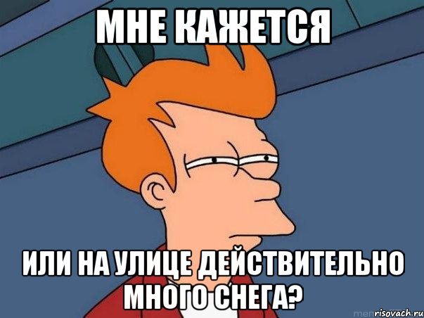 мне кажется или на улице действительно много снега?, Мем  Фрай (мне кажется или)