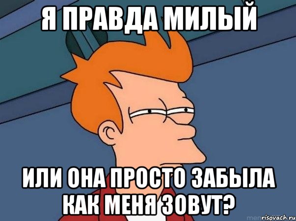 Я правда милый или она просто забыла как меня зовут?, Мем  Фрай (мне кажется или)