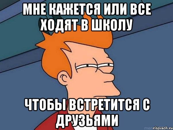 мне кажется или все ходят в школу чтобы встретится с друзьями, Мем  Фрай (мне кажется или)