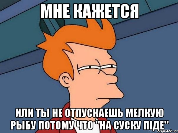 мне кажется или ты не отпускаешь мелкую рыбу потому что "на суску піде", Мем  Фрай (мне кажется или)