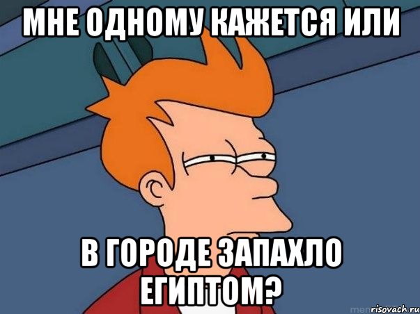 МНЕ ОДНОМУ КАЖЕТСЯ ИЛИ В ГОРОДЕ ЗАПАХЛО ЕГИПТОМ?, Мем  Фрай (мне кажется или)