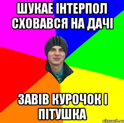 шукае інтерпол сховався на дачі завів курочок і пітушка