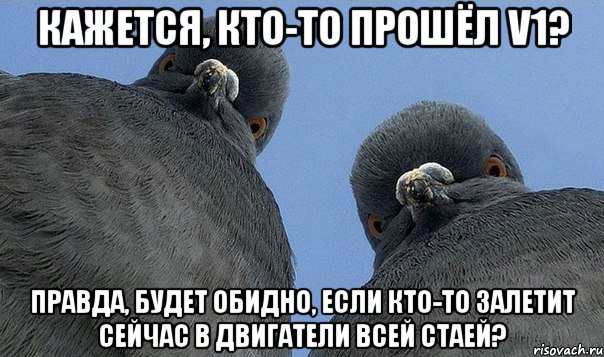 Кажется, кто-то прошёл V1? Правда, будет обидно, если кто-то залетит сейчас в двигатели всей стаей?