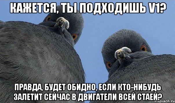 Кажется, ты подходишь V1? Правда, будет обидно, если кто-нибудь залетит сейчас в двигатели всей стаей?