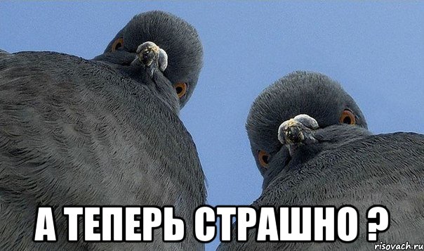  а теперь страшно ?