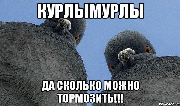 курлымурлы да сколько можно тормозить!!!