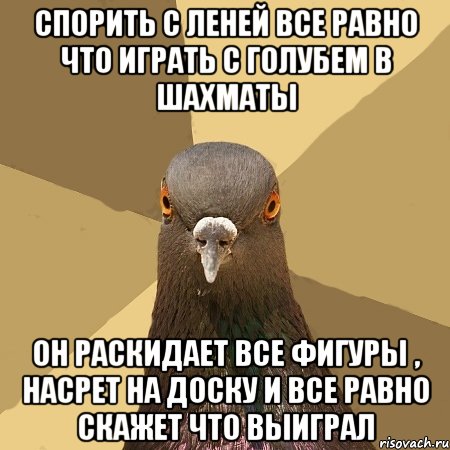 Спорить с Леней все равно что играть с голубем в шахматы Он раскидает все фигуры , насрет на доску и все равно скажет что выиграл, Мем голубь