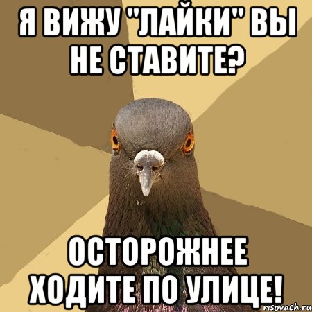 Я вижу "лайки" вы не ставите? Осторожнее ходите по улице!, Мем голубь