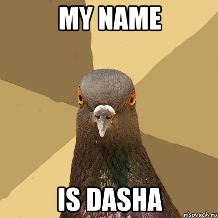 my name IS DASHA, Мем голубь