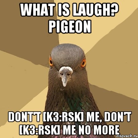 What is laugh? Pigeon Dont't [Kз:rsk] me, don't [Kз:rsk] me NO MORE, Мем голубь