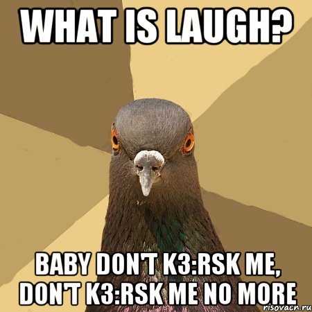 What is laugh? baby Don't Kз:rsk me, don't Kз:rsk me NO MORE, Мем голубь