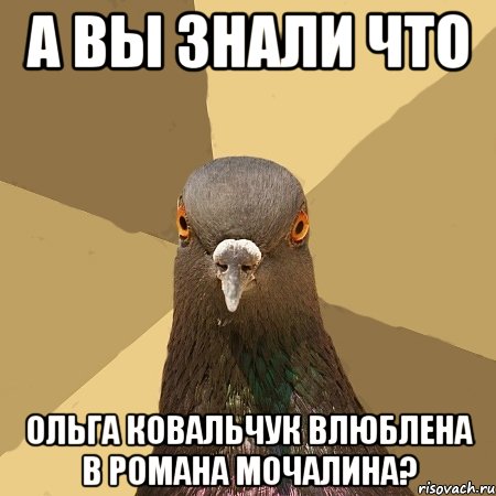 А вы знали что Ольга Ковальчук влюблена в Романа Мочалина?, Мем голубь