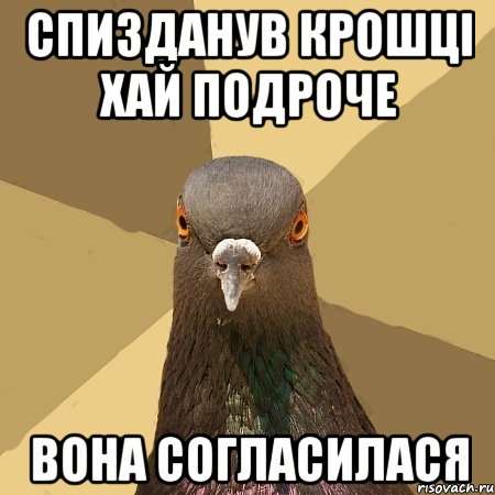 Спизданув Крошці хай подроче вона согласилася, Мем голубь