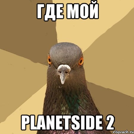 Где мой PlanetSide 2, Мем голубь