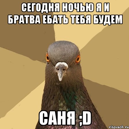 Сегодня ночью я и братва ебать тебя будем Саня ;D, Мем голубь