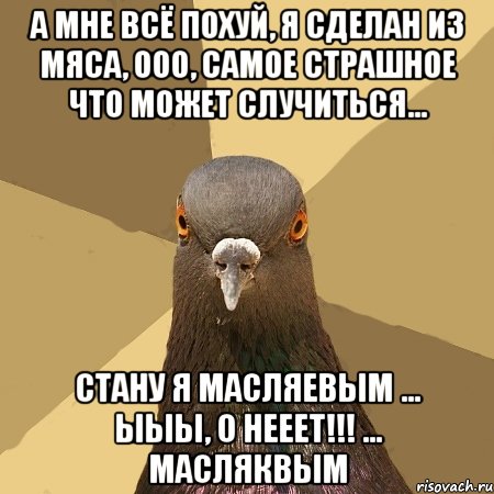 А мне всё похуй, я сделан из мяса, ооо, самое страшное что может случиться... Стану я Масляевым ... ыыы, о нееет!!! ... Масляквым, Мем голубь