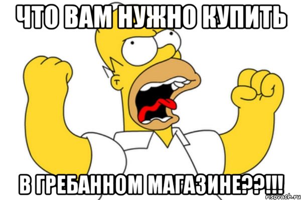 ЧТО ВАМ НУЖНО КУПИТЬ В ГРЕБАННОМ МАГАЗИНЕ??!!!, Мем Разъяренный Гомер