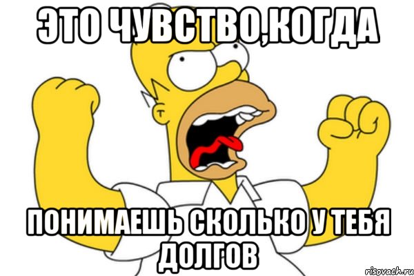 это чувство,когда понимаешь сколько у тебя долгов, Мем Разъяренный Гомер