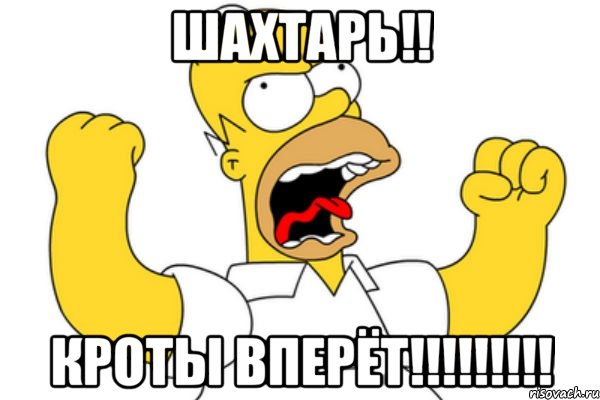 Шахтарь!! Кроты вперёт!!!!!!!!!