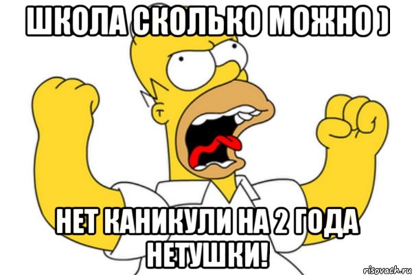 школа сколько можно ) нет каникули на 2 года нетушки!, Мем Разъяренный Гомер