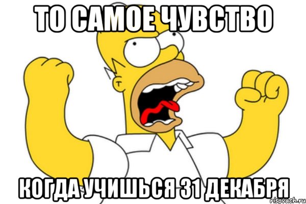 То самое чувство когда учишься 31 декабря