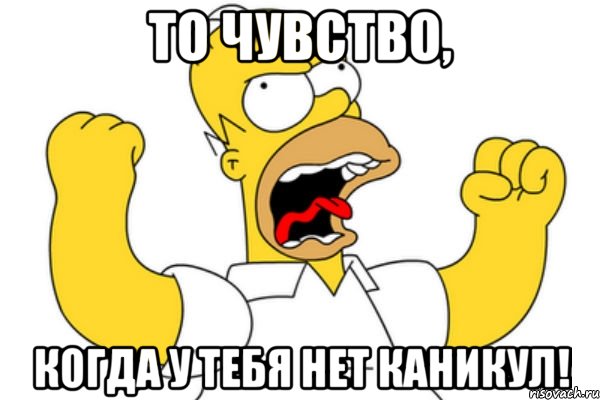 ТО ЧУВСТВО, КОГДА У ТЕБЯ НЕТ КАНИКУЛ!