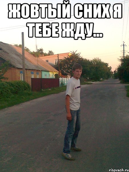 Жовтый сних я тебе жду... 