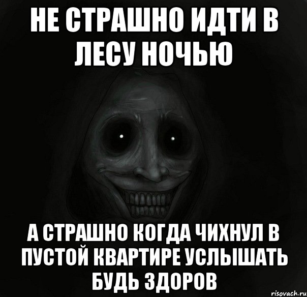 НЕ СТРАШНО ИДТИ В ЛЕСУ НОЧЬЮ А СТРАШНО КОГДА ЧИХНУЛ В ПУСТОЙ КВАРТИРЕ УСЛЫШАТЬ БУДЬ ЗДОРОВ, Мем Ночной гость