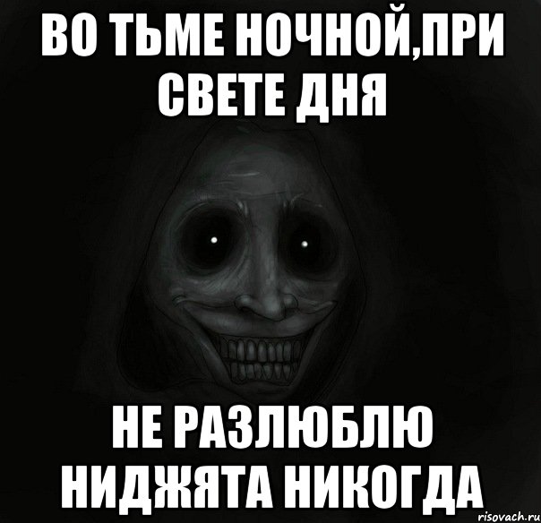 Во тьме ночной,при свете дня Не разлюблю Ниджята никогда, Мем Ночной гость