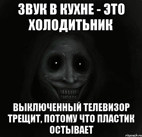 ЗВУК В КУХНЕ - ЭТО ХОЛОДИТЬНИК ВЫКЛЮЧЕННЫЙ ТЕЛЕВИЗОР ТРЕЩИТ, ПОТОМУ ЧТО ПЛАСТИК ОСТЫВАЕТ, Мем Ночной гость