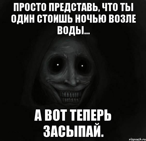 Просто представь, что ты один стоишь ночью возле воды... А вот теперь засыпай., Мем Ночной гость