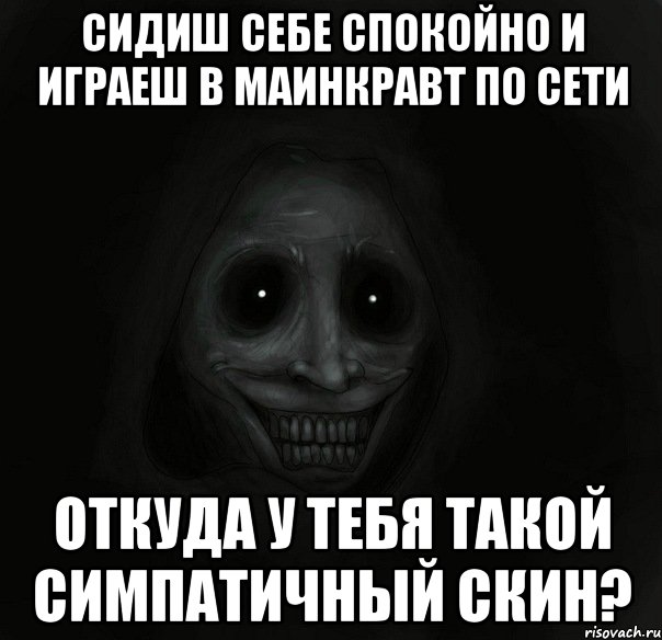 сидиш себе спокойно и играеш в маинкравт по сети откуда у тебя такой симпатичный скин?, Мем Ночной гость