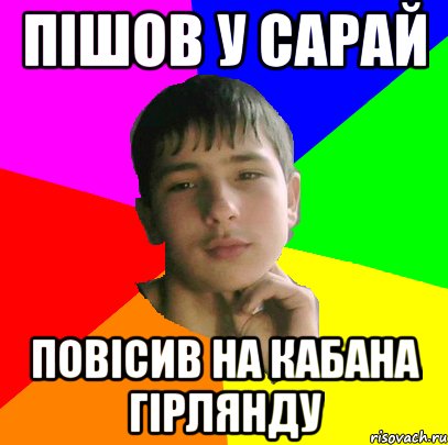 Пiшов у сарай Повiсив на кабана гiрлянду