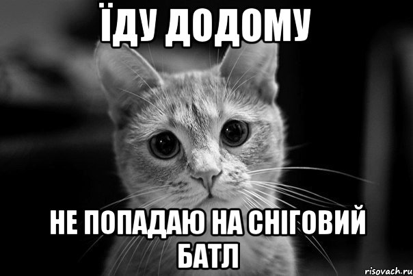 їду додому не попадаю на сніговий батл