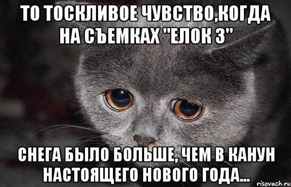 То тоскливое чувство,когда на съемках "Елок 3" снега было больше, чем в канун настоящего Нового года..., Мем  Грустный кот