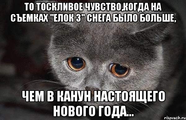 То тоскливое чувство,когда на съемках "Елок 3" снега было больше, чем в канун настоящего Нового года...