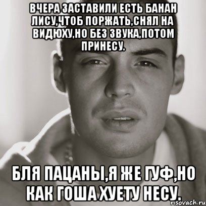 Вчера заставили есть банан лису,чтоб поржать,снял на видюху,но без звука,потом принесу. Бля пацаны,я же гуф,но как Гоша хуету несу., Мем Гуф