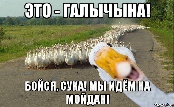 Это - Галычына! Бойся, Сука! Мы Идём На Мойдан!, Мем гуси