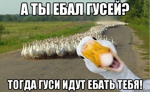 порно с гусями