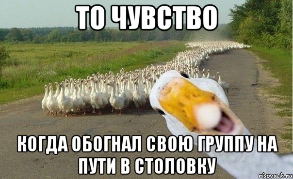 то чувство когда обогнал свою группу на пути в столовку, Мем гуси