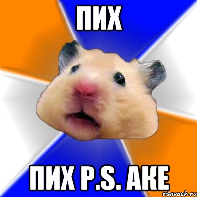 пих пих p.s. Аке, Мем Хомяк