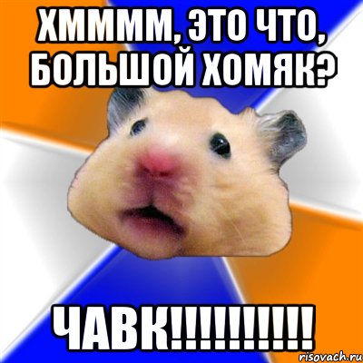 Хмммм, это что, большой хомяк? ЧАВК!!!!!!!!!!, Мем Хомяк