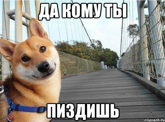 Да кому ты пиздишь