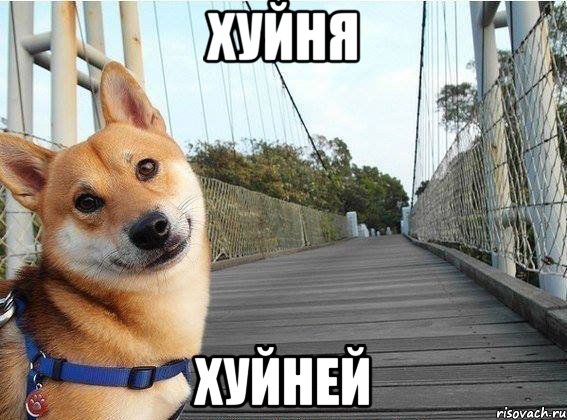Хуйня Хуйней