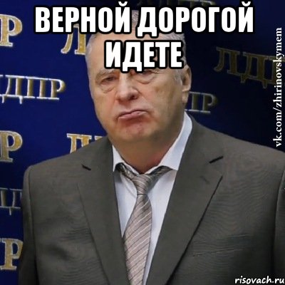 верной дорогой идете , Мем Хватит это терпеть (Жириновский)