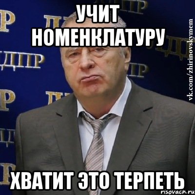 учит номенклатуру хватит это терпеть, Мем Хватит это терпеть (Жириновский)