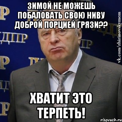 Зимой не можешь побаловать свою Ниву доброй порцией грязи?? Хватит это терпеть!, Мем Хватит это терпеть (Жириновский)