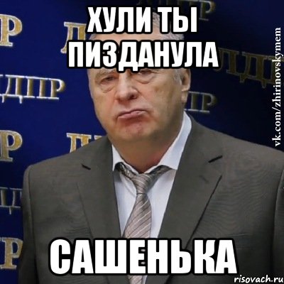 Хули ты пизданула Сашенька, Мем Хватит это терпеть (Жириновский)