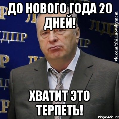 До нового года 20 дней! Хватит это терпеть!, Мем Хватит это терпеть (Жириновский)